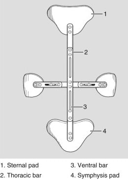 CASH Hyperextension Brace – Total Care