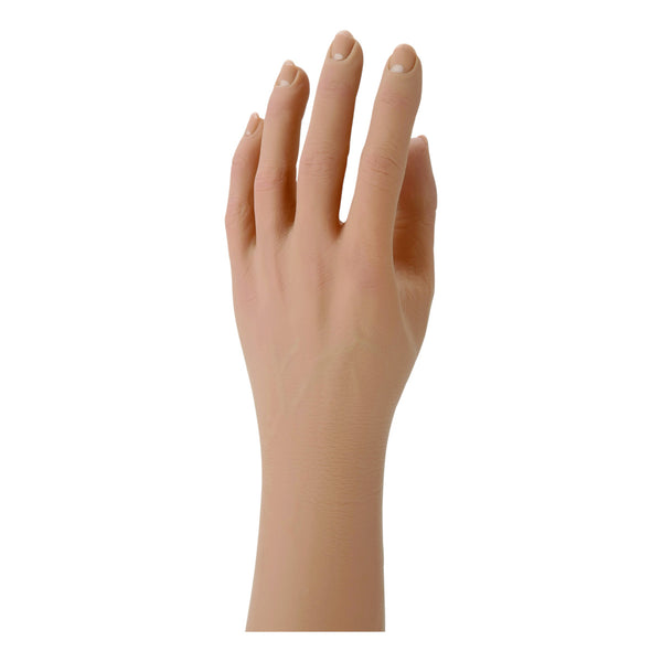Cosmetic Glove -Female